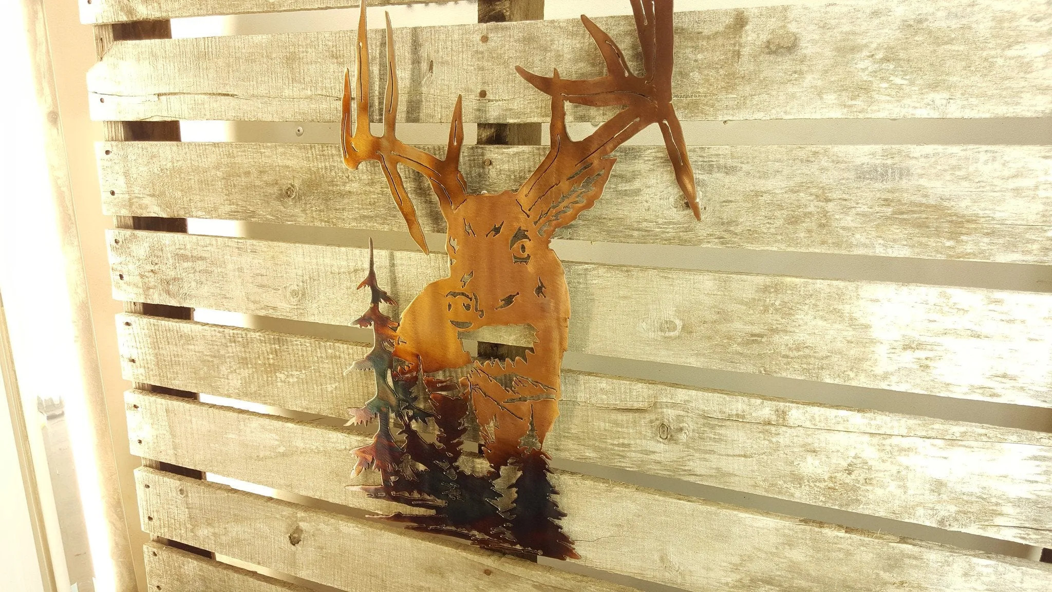 Drop Tine Buck Scene