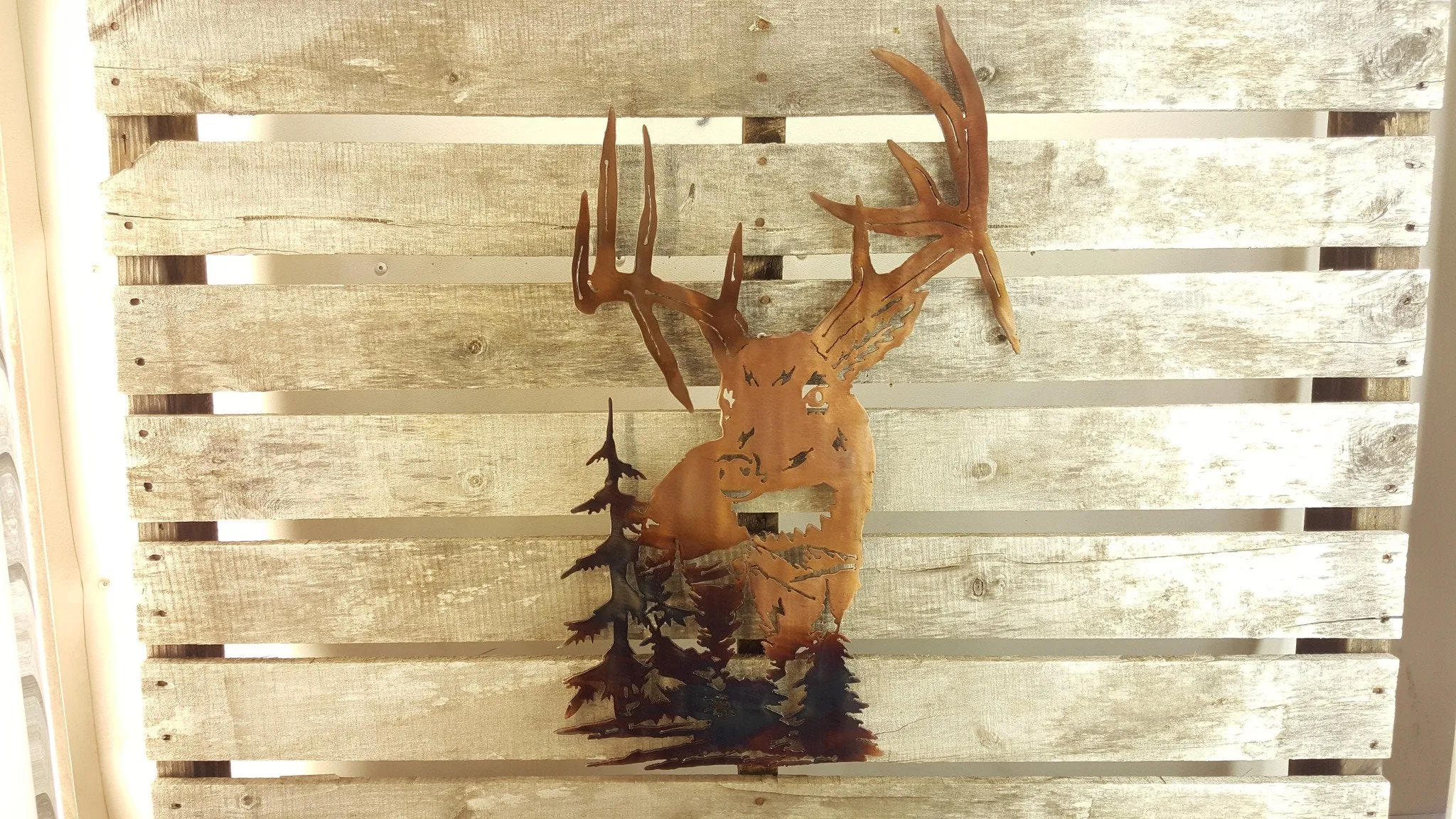 Drop Tine Buck Scene
