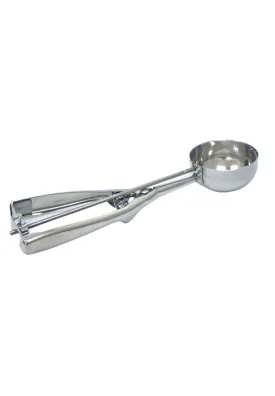 Masflex Stainless Ice Cream Spoon